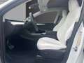Tesla Model Y Alb - thumbnail 12
