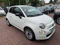 Fiat 500 MY23 1.0 Klima & Sound*Allwetterreifen Weiß - thumbnail 3