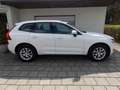 Volvo XC60 D4 AWD Geartronic Momentum Navigation LED BLIS Sit Weiß - thumbnail 11