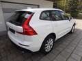 Volvo XC60 D4 AWD Geartronic Momentum Navigation LED BLIS Sit Weiß - thumbnail 13