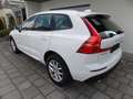 Volvo XC60 D4 AWD Geartronic Momentum Navigation LED BLIS Sit Weiß - thumbnail 4