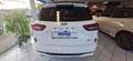 Ford Kuga Hybrid ST-Line X Blanc - thumbnail 4
