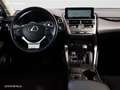 Lexus NX 300 300h Business Navigation 2WD - thumbnail 8