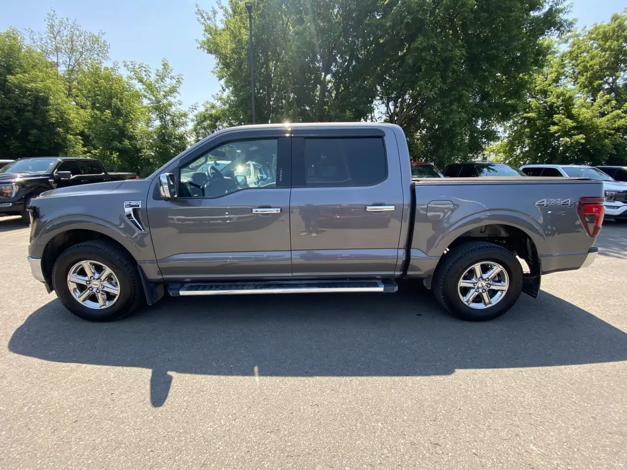 Ford F 150 fotografie Ford F 150