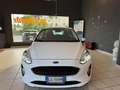 Ford Fiesta Fiesta 5p 1.1 Titanium Gpl s Weiß - thumbnail 1