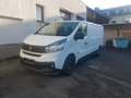 Fiat Talento L2H1 1,2t SX Automatik netto 9995€ Weiß - thumbnail 2