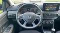 Dacia Sandero 1.0 EGO-G 100 Confort Rouge - thumbnail 24