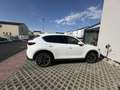 Mazda CX-5 CX-5 G165 Challenge Plus Challenge Plus Weiß - thumbnail 18