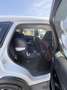 Mazda CX-5 CX-5 G165 Challenge Plus Challenge Plus Weiß - thumbnail 13