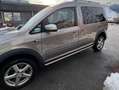 Volkswagen Caddy Caddy Alltrack 2,0 TDI 4Motion DSG Alltrack Beige - thumbnail 5