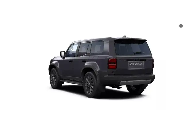 Toyota Land Cruiser view 8