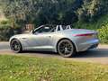 Jaguar F-Type F-Type Convertible Albastru - thumbnail 11