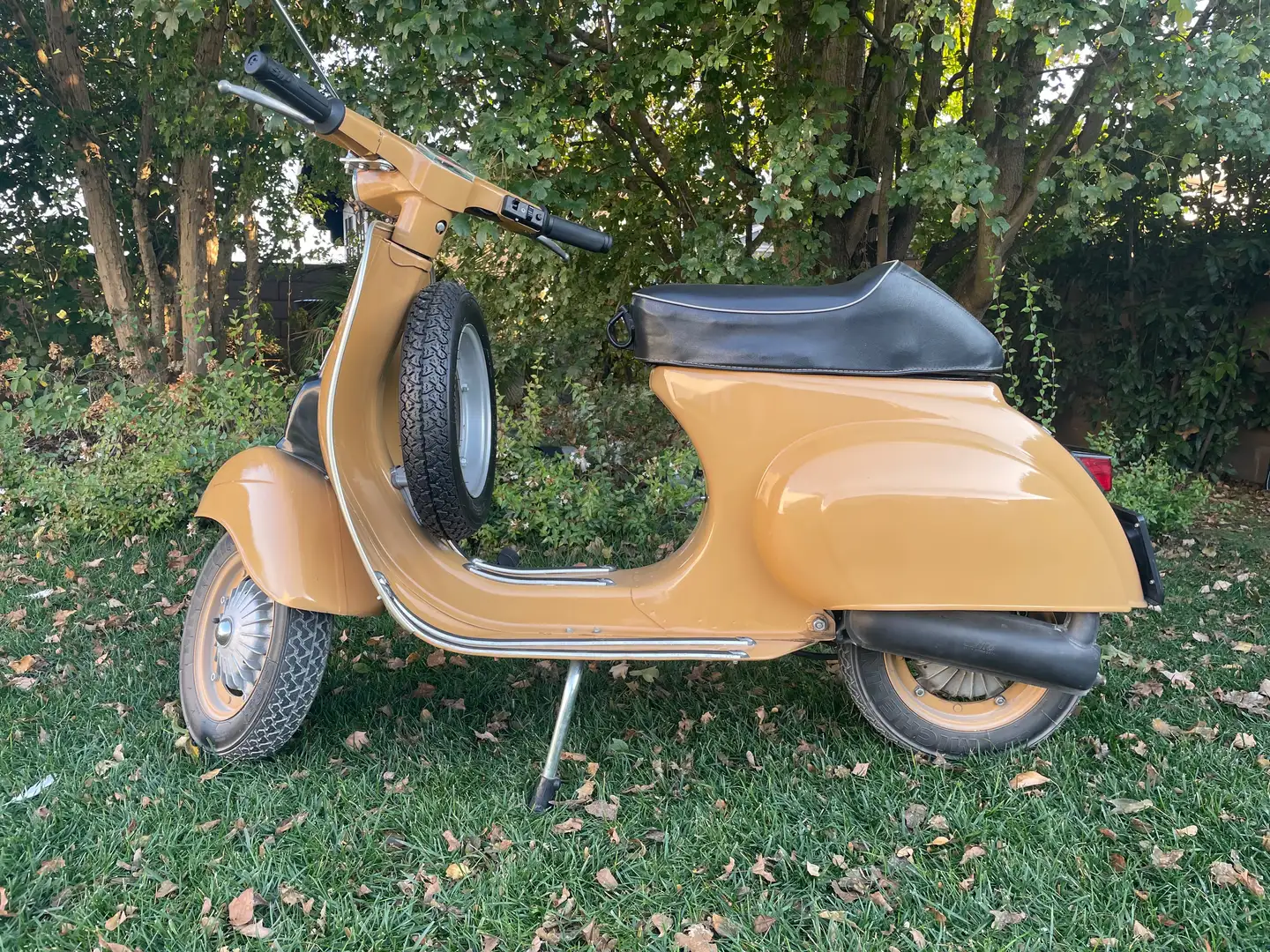 Vespa Special 50 - 1