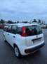 Fiat Panda 1.2 Easy 69cv Blanc - thumbnail 4