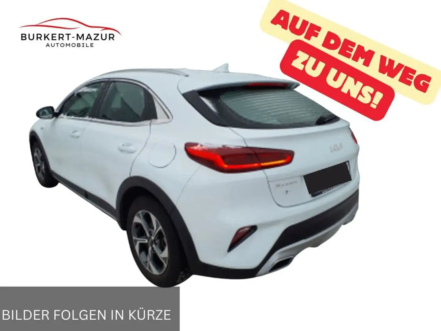 Kia XCeed Xceed 1.0 T-GDI Edition 7 *RKam*LED* Weiß - 2