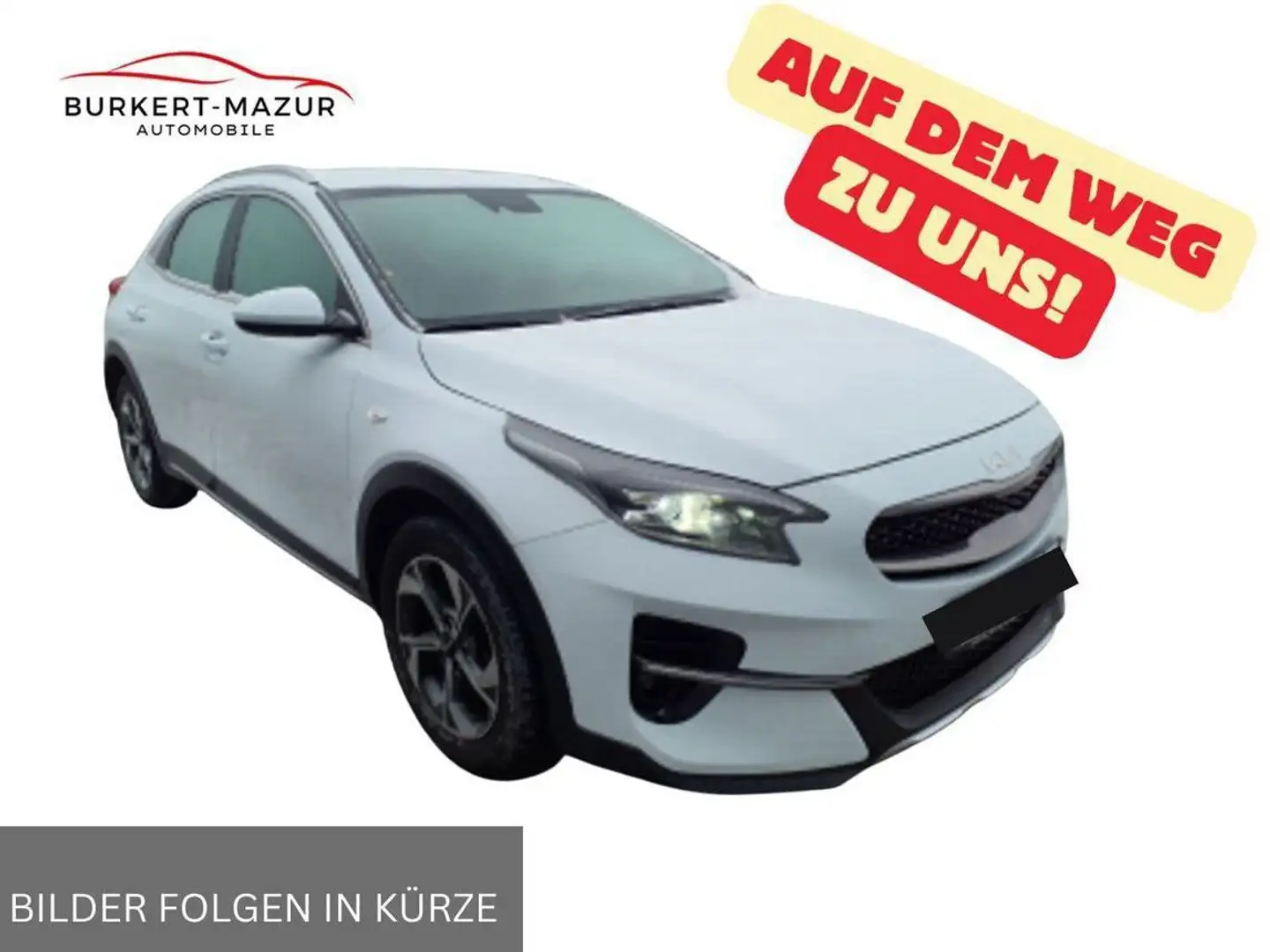 Kia XCeed Xceed 1.0 T-GDI Edition 7 *RKam*LED* Weiß - 1