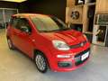 Fiat New Panda 1.0 FireFly Hybrid Roşu - thumbnail 3