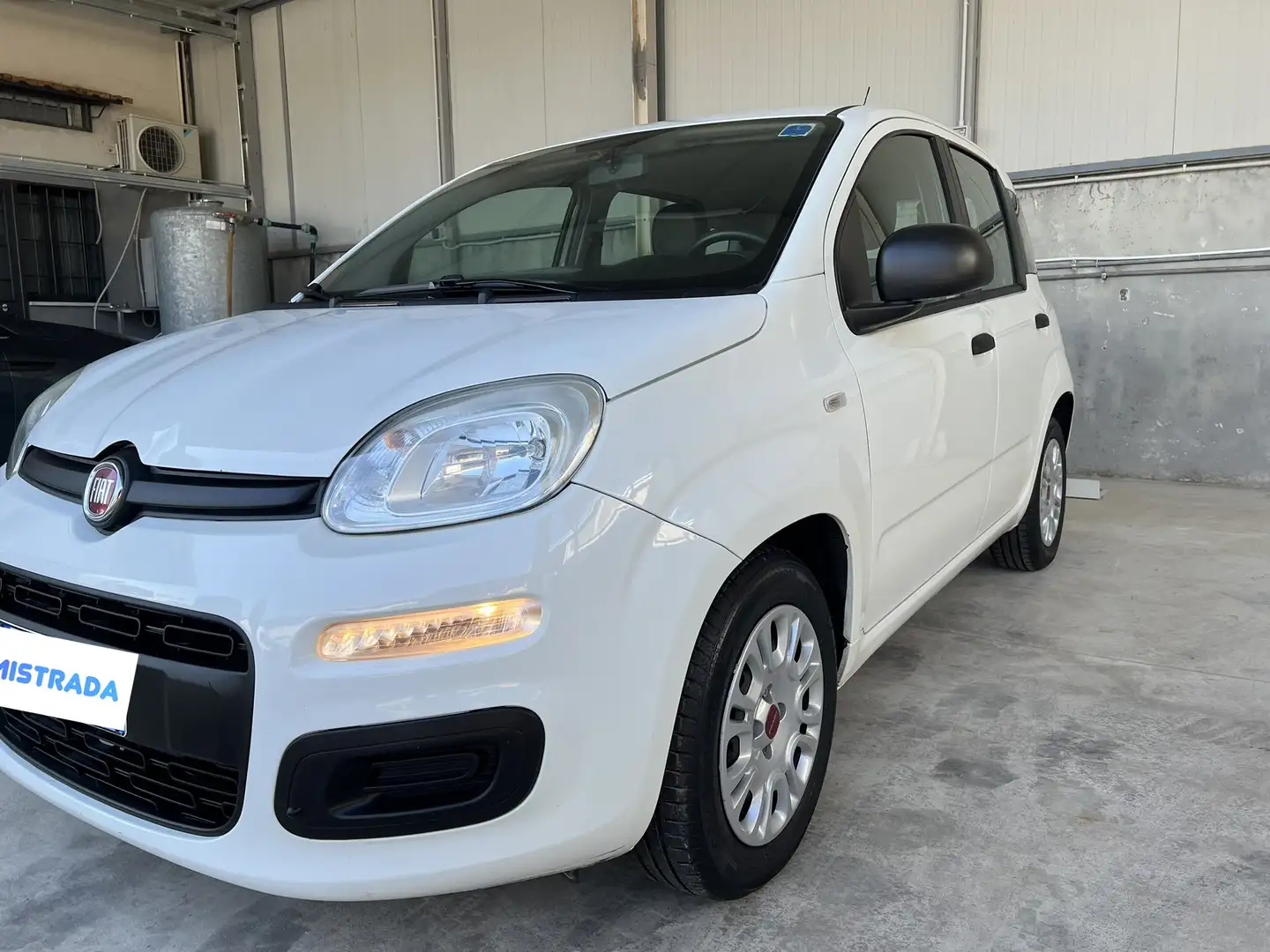 Fiat New Panda Weiß - 2