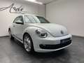 Volkswagen Beetle 1.6 TDi *CAPTEUR*BLUETOOTH*1ER PROPRIO*GARANTIE* Blanc - thumbnail 3