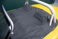 Renault Spider 2.0 | Windshield | JAUNE IRISÉ Amarillo - thumbnail 37