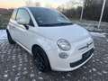Fiat 500 500 0.9 TwinAir Start 1 Hand guter Zustand Weiß - thumbnail 2