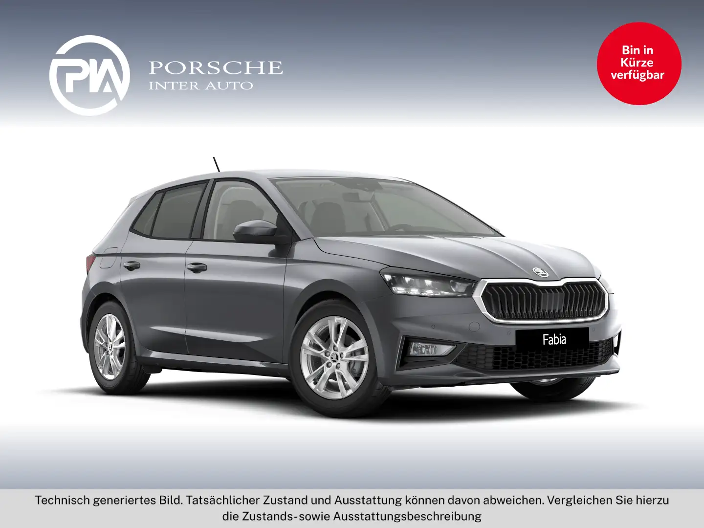 Skoda Fabia Selection TSI Grau - 1