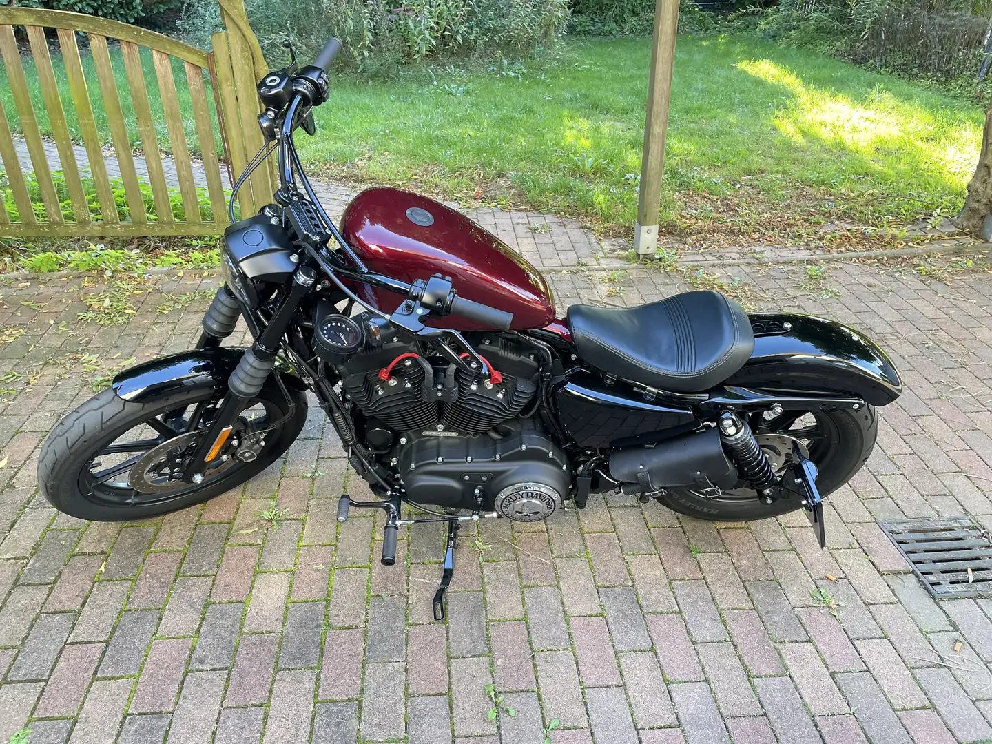 Harley-Davidson Sportster 1200 Iron - 1