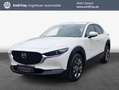 Mazda CX-30 e-SKYACTIVE X 186 Aut. EXCLUSIVE-LINE Weiß - thumbnail 1