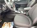 Ford Kuga Hybrid ST-Line, WinterP. Garantie 5 Jahre Schwarz - thumbnail 11