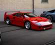 Ferrari F40 Rot - thumbnail 1