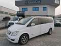 Mercedes-Benz Viano 2.2 CDI Ambiente L Bianco - thumbnail 1