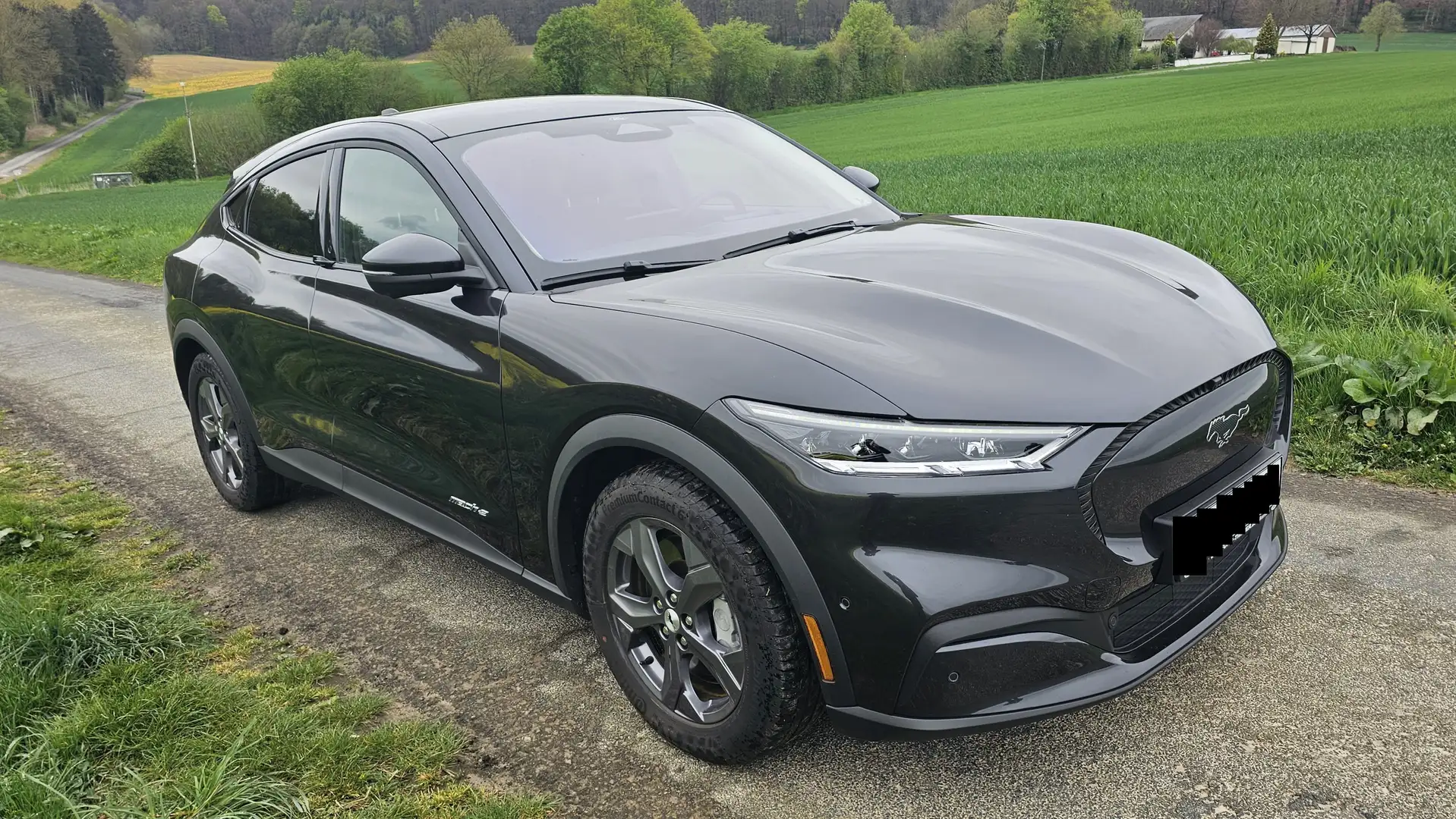 Ford Mustang Mach-E RWD, Panorama, Leder, B&O Grau - 1