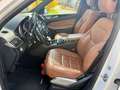 Mercedes-Benz GLS 500 AMG-LINE 4Matic PANO/360-CAM/KEY-L./LED/ Blanco - thumbnail 14