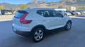Volvo XC40 XC40 2.0 d3 Business Plus awd geartronic my20 Bianco - thumbnail 7