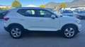 Volvo XC40 XC40 2.0 d3 Business Plus awd geartronic my20 Bianco - thumbnail 8