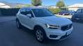 Volvo XC40 XC40 2.0 d3 Business Plus awd geartronic my20 Bianco - thumbnail 1