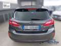 Ford Fiesta 1.0 Ecoboost Hybrid 125 CV 5 porte Titanium Gris - thumbnail 12
