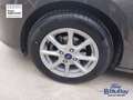 Ford Fiesta 1.0 Ecoboost Hybrid 125 CV 5 porte Titanium Gris - thumbnail 14