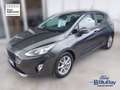 Ford Fiesta 1.0 Ecoboost Hybrid 125 CV 5 porte Titanium Gris - thumbnail 1