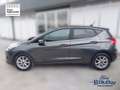 Ford Fiesta 1.0 Ecoboost Hybrid 125 CV 5 porte Titanium Gris - thumbnail 10
