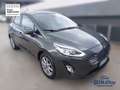 Ford Fiesta 1.0 Ecoboost Hybrid 125 CV 5 porte Titanium Gris - thumbnail 3