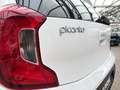 Kia Picanto 1.0 Weiß - thumbnail 18