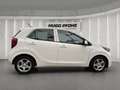 Kia Picanto 1.0 Weiß - thumbnail 6