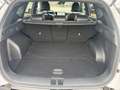 Hyundai TUCSON 1.6T PHEV 4WD N-Line Matrix/KRELL/Kamera Weiß - thumbnail 12
