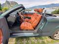 Audi TT TT Roadster 1.8 T Grün - thumbnail 7