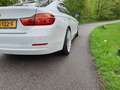 BMW 420 420d Cent Exec Wit - thumbnail 21