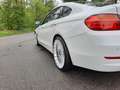 BMW 420 420d Cent Exec Wit - thumbnail 16