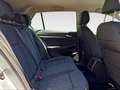 Volkswagen Golf 8ª serie 1.0 TSI EVO Life Argento - thumbnail 13