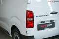 Fiat Scudo E-Kasten L1 | BUSINESS-PROFI | 50kWh | Tempo Weiß - thumbnail 14