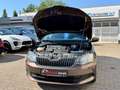Skoda Fabia FABIA 1.4 TDI COMBI"COOL EDITION"5GANG*PDC*KLIMA Brun - thumbnail 6